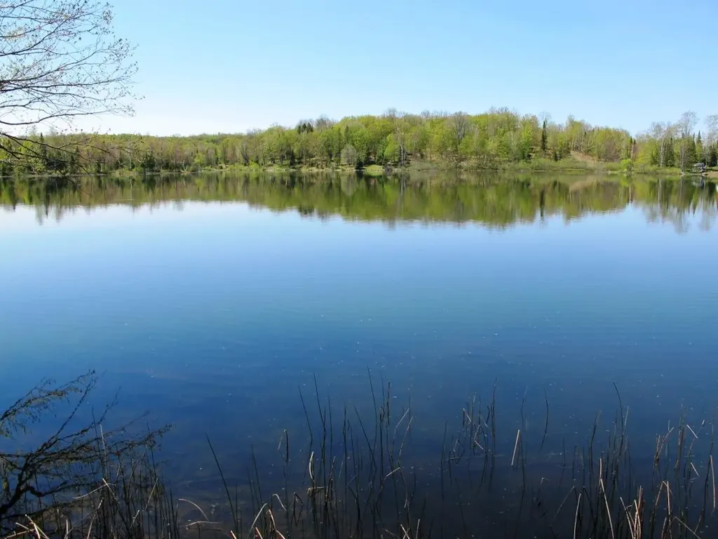 Tbd Pomeroy Lake Road MI 49947