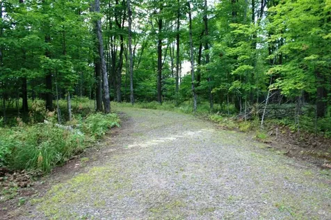Tbd Pomeroy Lake Road MI 49947
