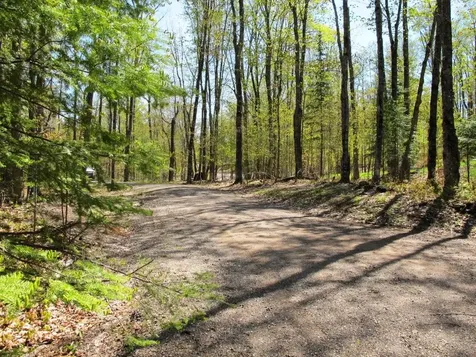 Tbd Pomeroy Lake Road MI 49947