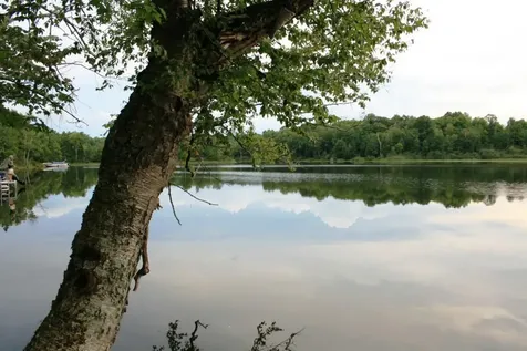Tbd Pomeroy Lake Road MI 49947