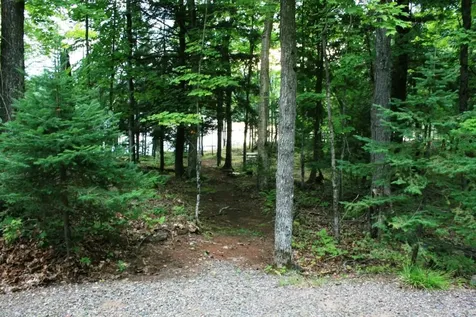 Tbd Pomeroy Lake Road MI 49947