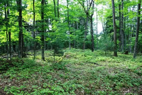 Tbd Pomeroy Lake Road MI 49947