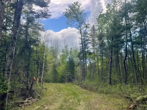 18912 Rocky Lane Townsend WI 54175