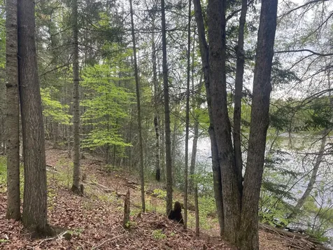 18912 Rocky Lane Townsend WI 54175