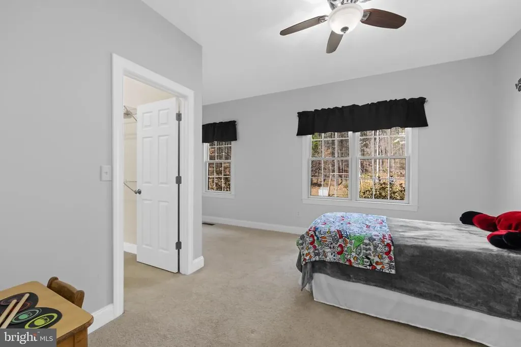 286 Lewis Drive Ruckersville VA 22968