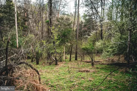 Ridgeview Drive Ruckersville VA 22968