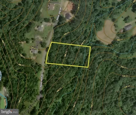 Ridgeview Drive Ruckersville VA 22968