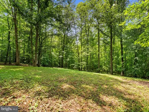 93 Cedar Drive W Ruckersville VA 22968