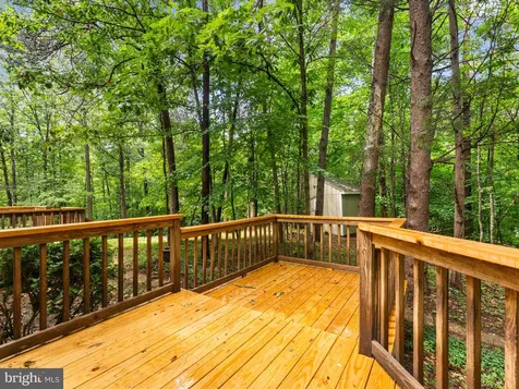 93 Cedar Drive W Ruckersville VA 22968
