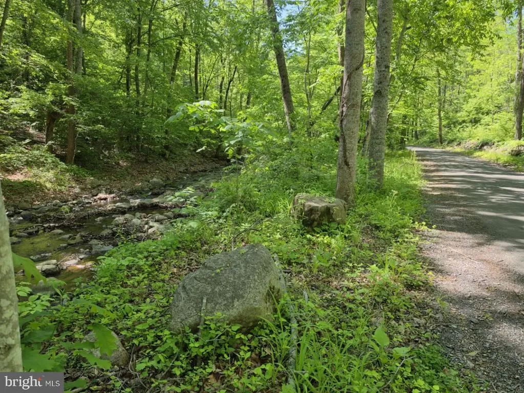 873 Entry Run Road Stanardsville VA 22973