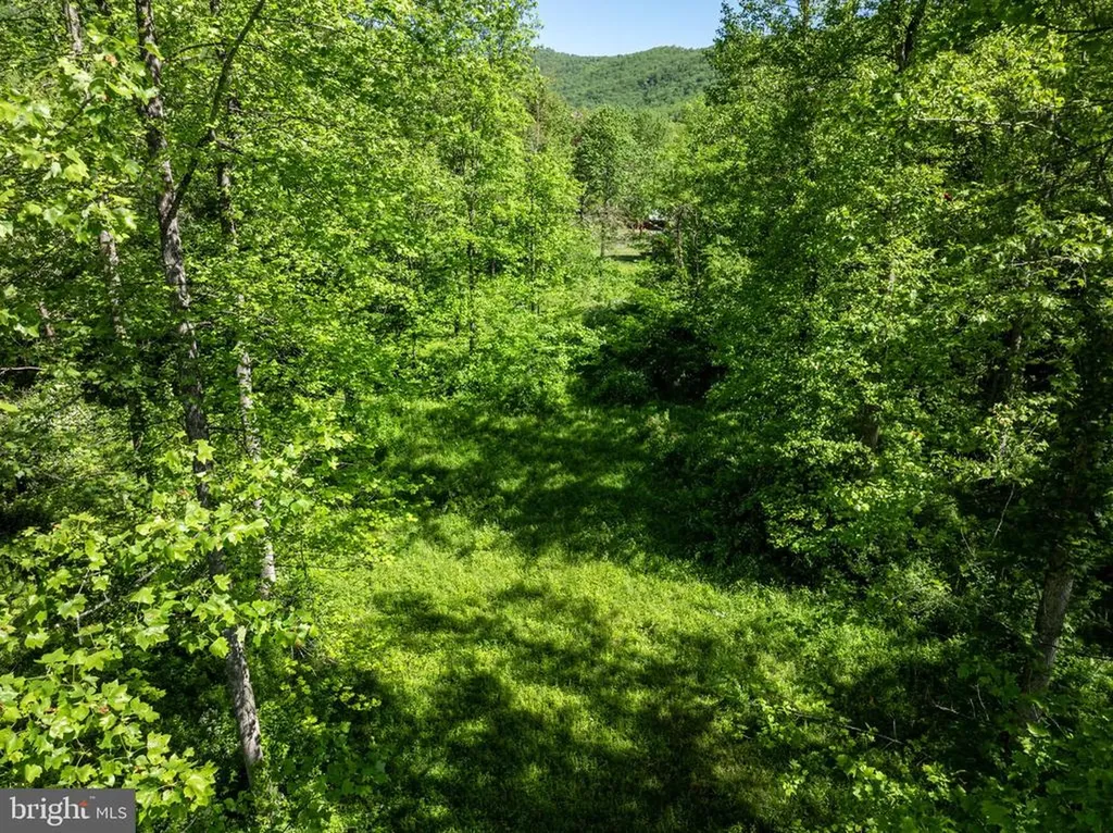 873 Entry Run Road Stanardsville VA 22973