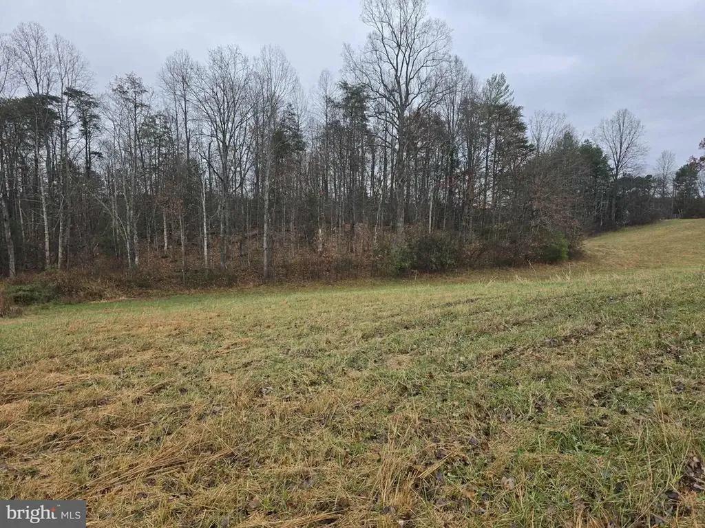 729 Celt Road Stanardsville VA 22973