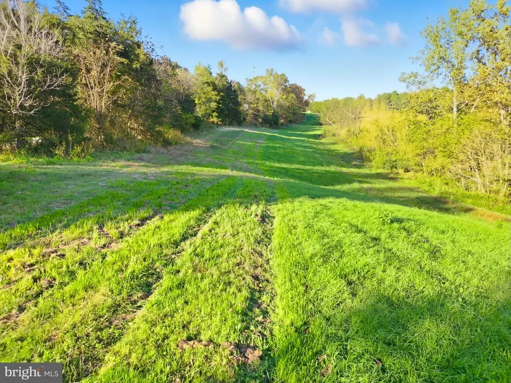 240 Stoneleigh Road Palmyra VA 22963