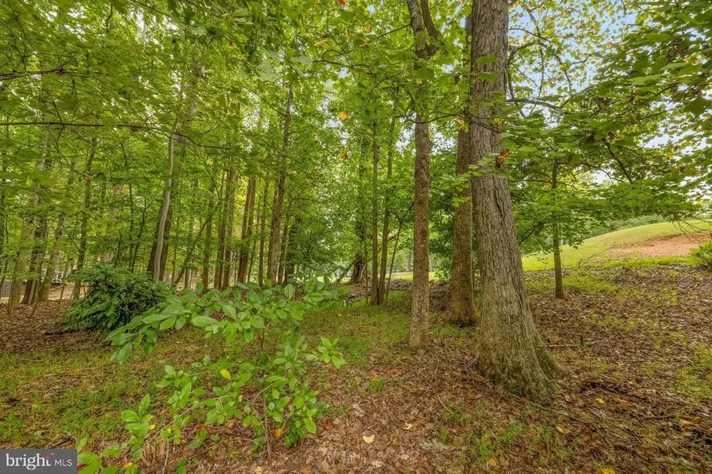 198 Jefferson Drive Palmyra VA 22963