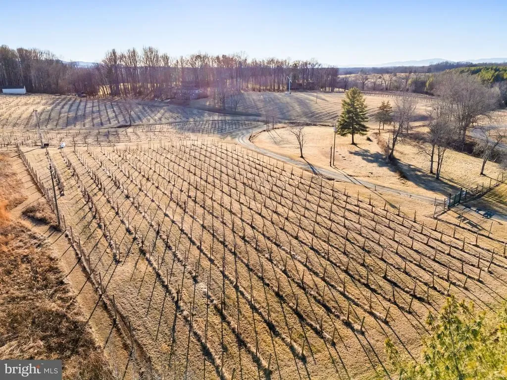 4500 Winery Lane Barboursville VA 22923