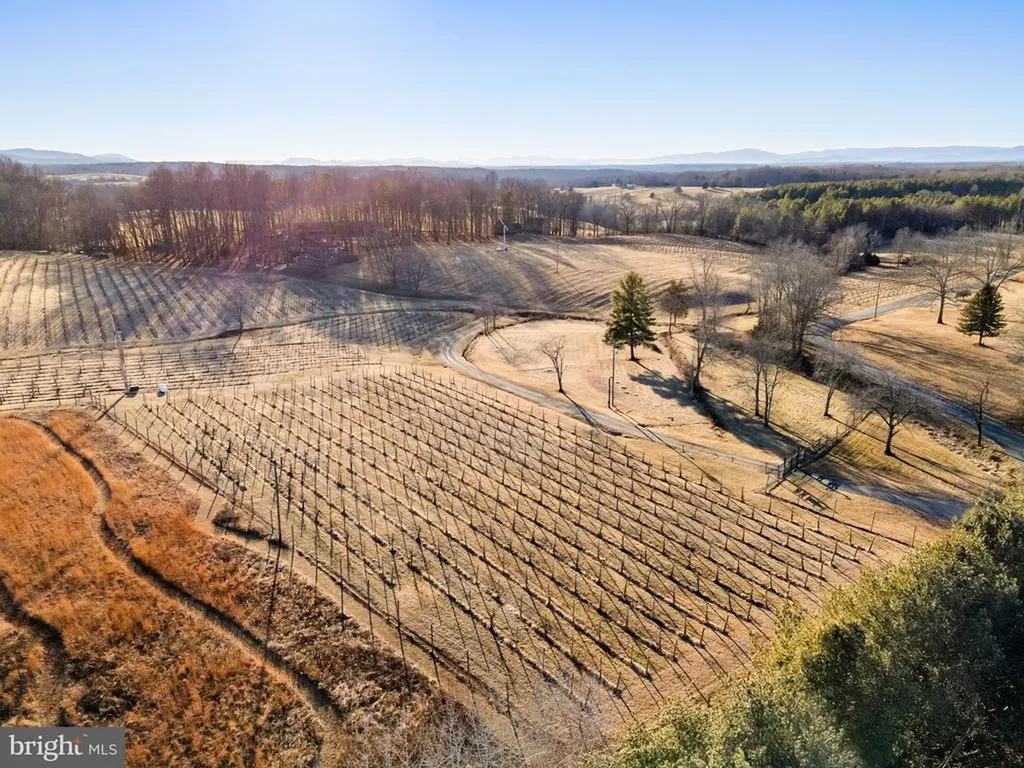 4500 Winery Lane Barboursville VA 22923