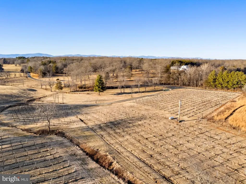 4500 Winery Lane Barboursville VA 22923