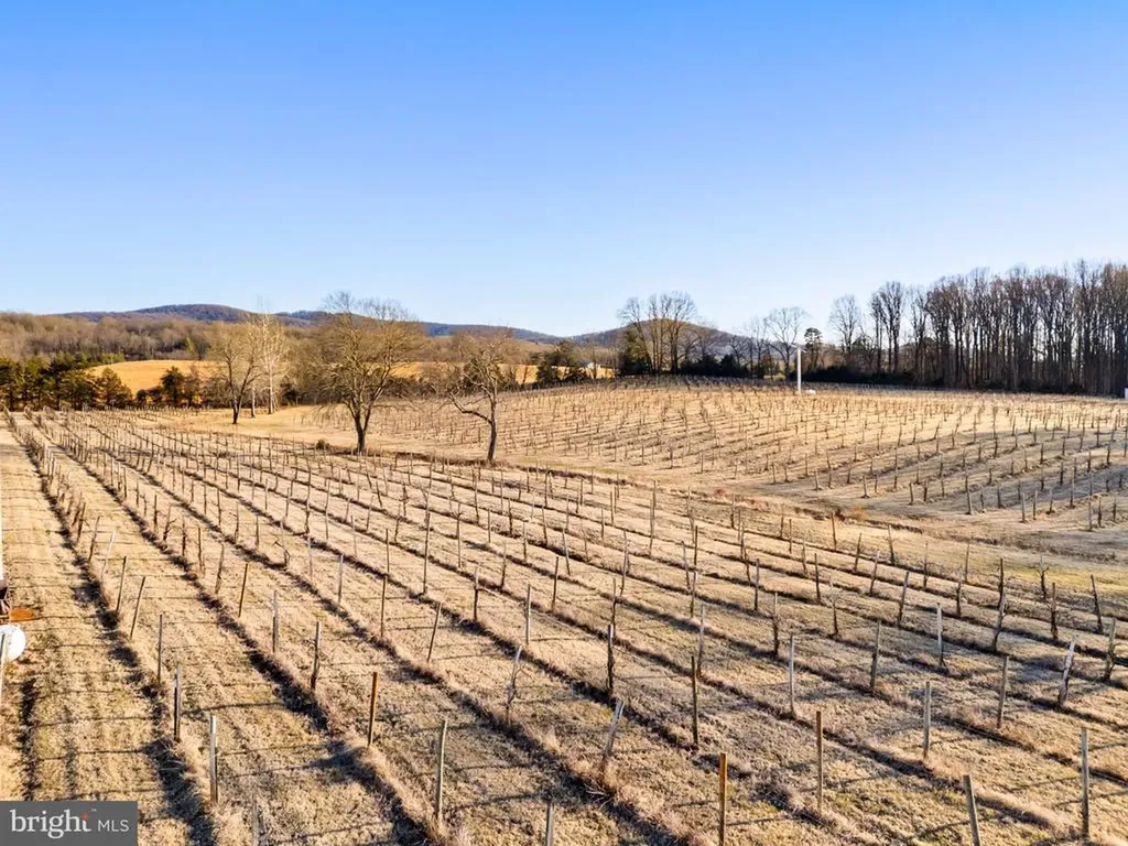 4500 Winery Lane Barboursville VA 22923