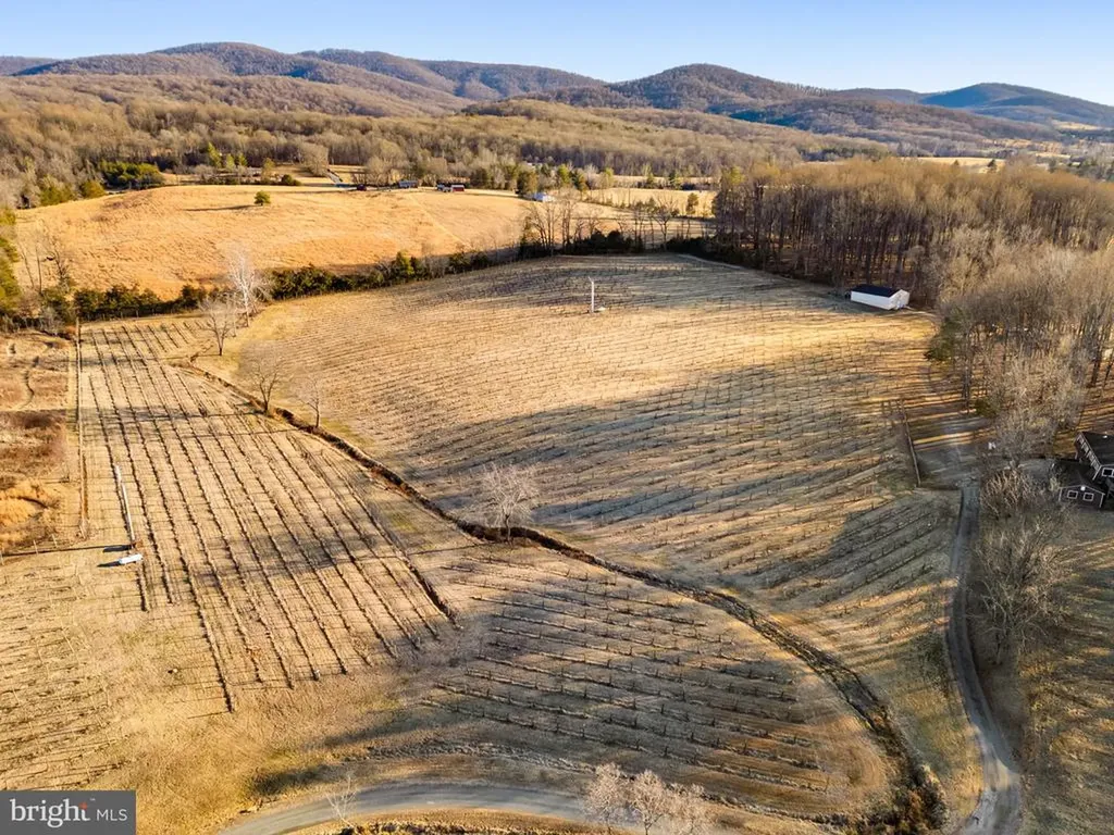 4500 Winery Lane Barboursville VA 22923