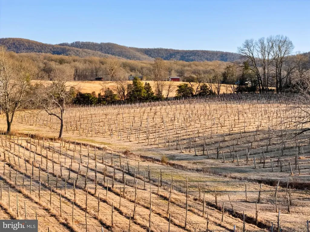 4500 Winery Lane Barboursville VA 22923