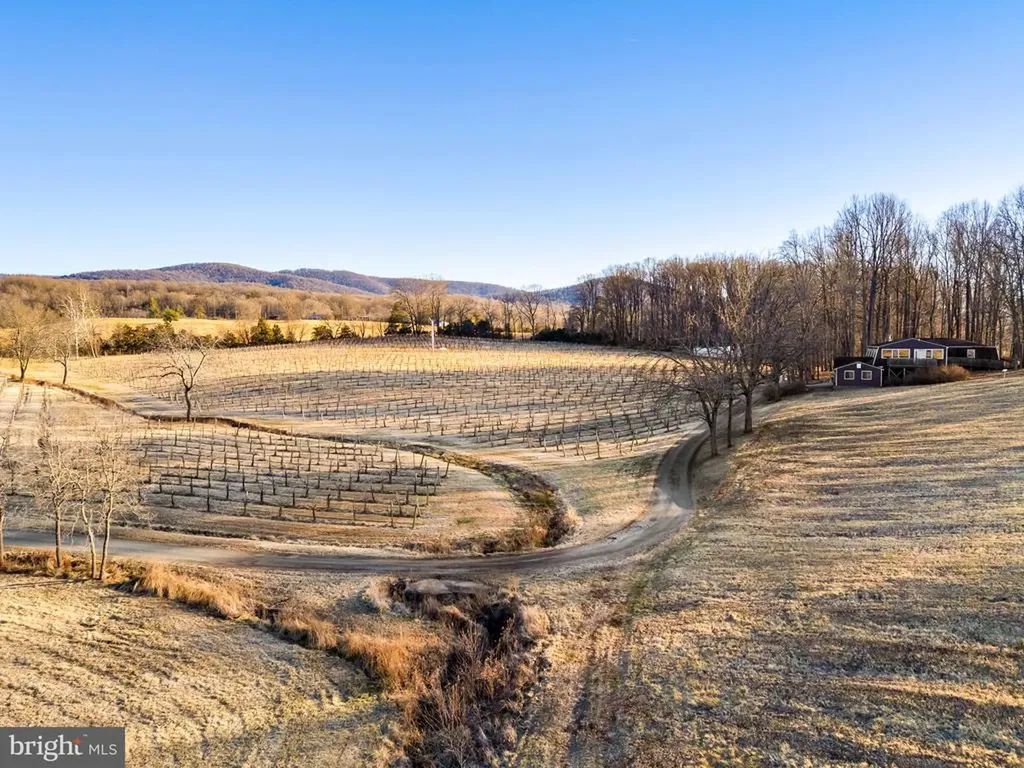 4500 Winery Lane Barboursville VA 22923