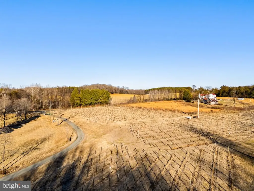 4500 Winery Lane Barboursville VA 22923