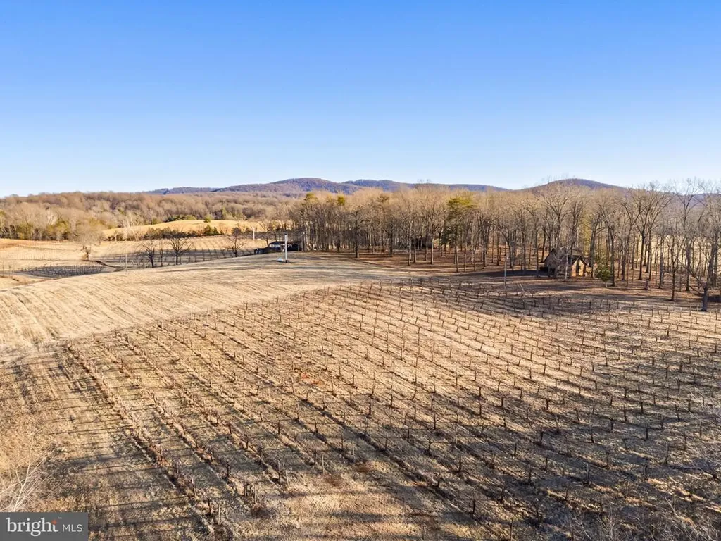 4500 Winery Lane Barboursville VA 22923