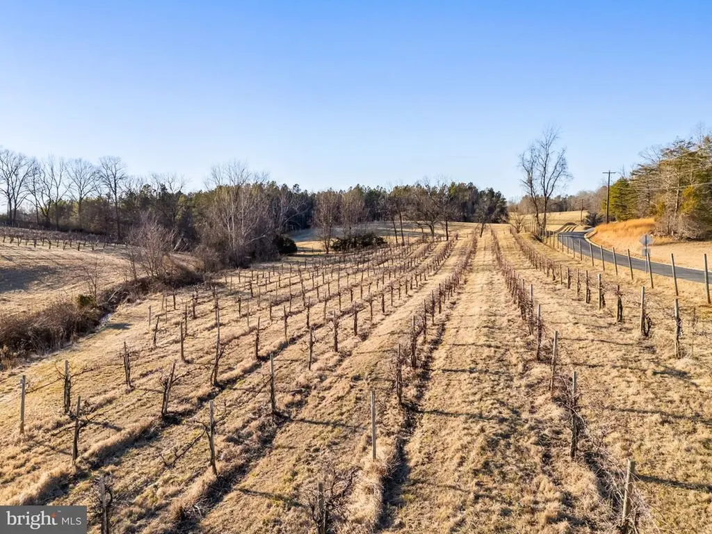 4500 Winery Lane Barboursville VA 22923