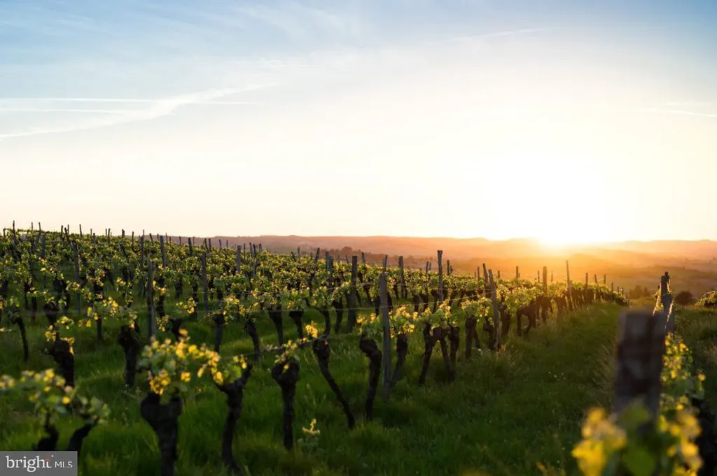 4500 Winery Lane Barboursville VA 22923