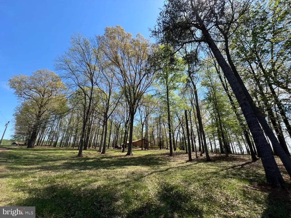 4500 Winery Lane Barboursville VA 22923