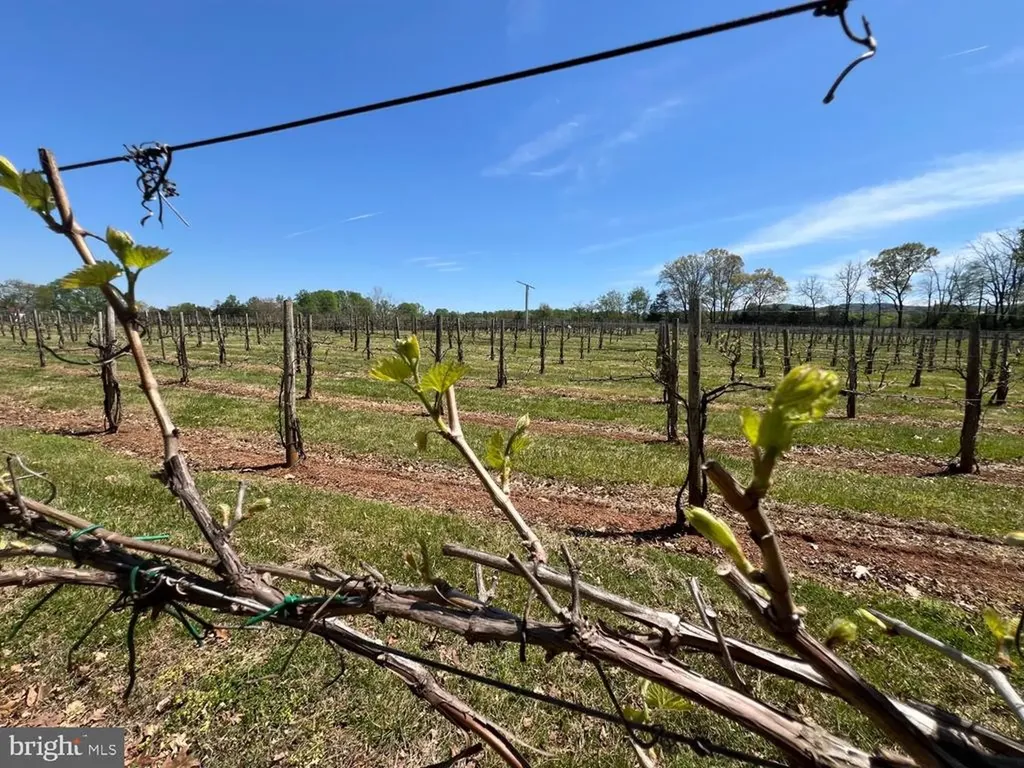 4500 Winery Lane Barboursville VA 22923