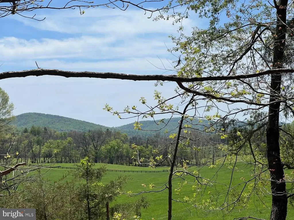 4500 Winery Lane Barboursville VA 22923