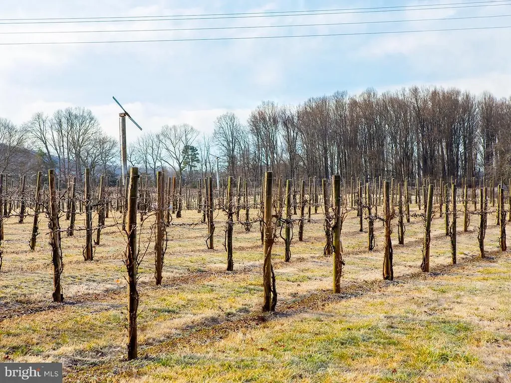 4500 Winery Lane Barboursville VA 22923