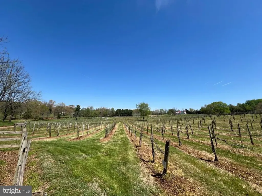 4500 Winery Lane Barboursville VA 22923