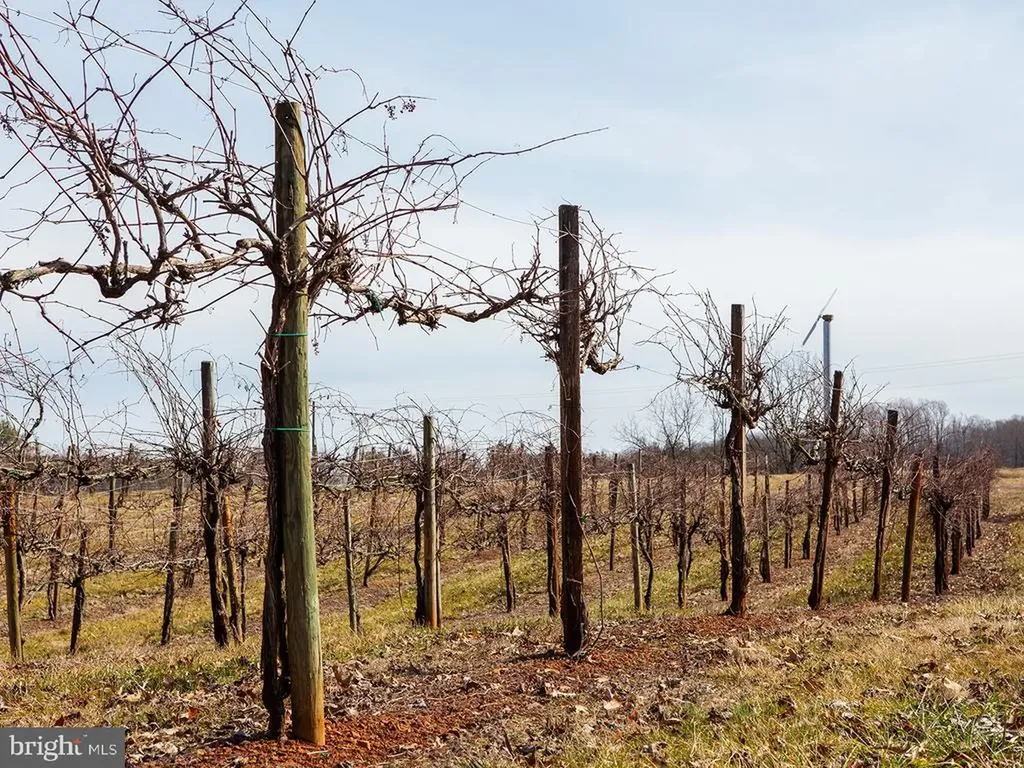 4500 Winery Lane Barboursville VA 22923