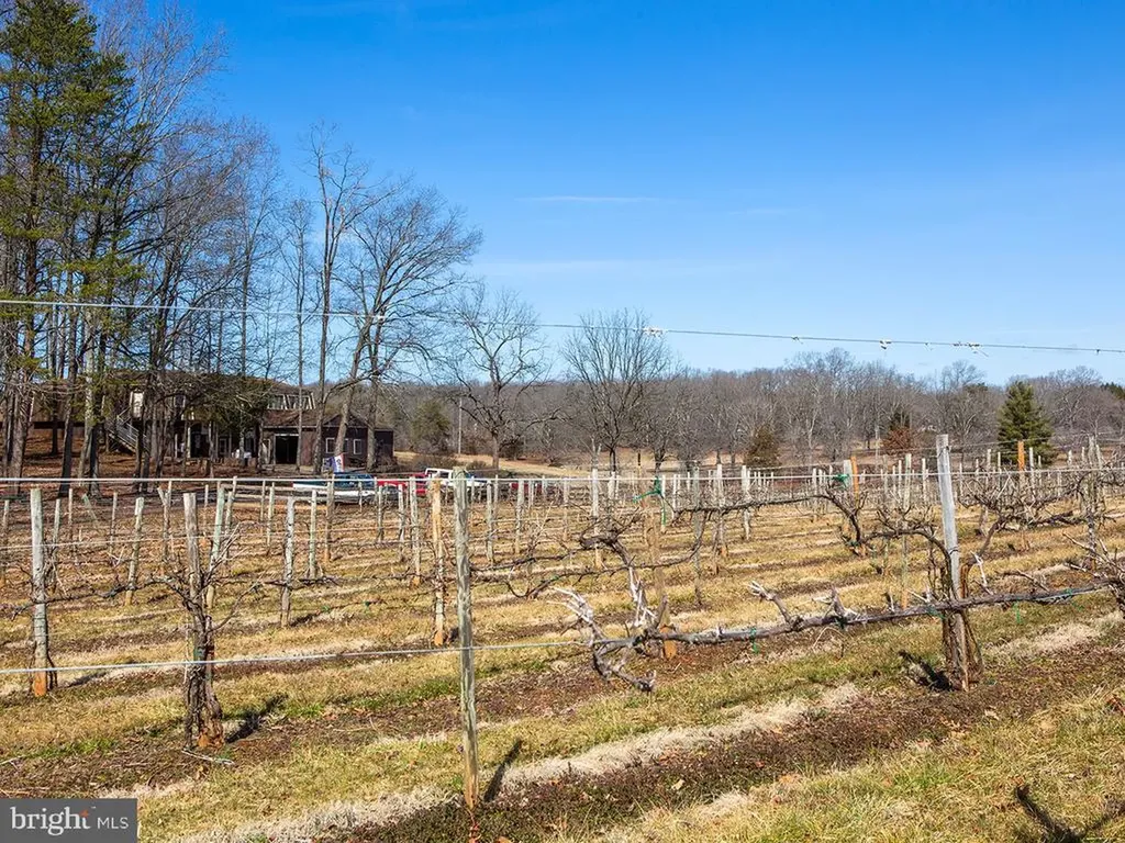 4500 Winery Lane Barboursville VA 22923