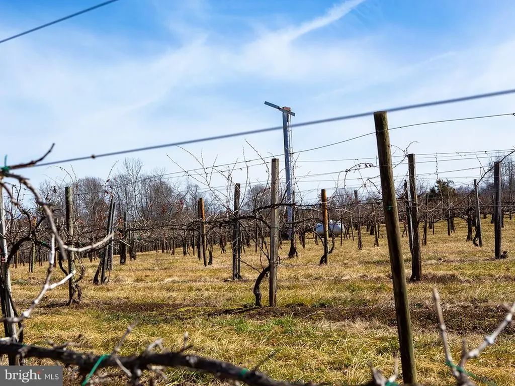 4500 Winery Lane Barboursville VA 22923