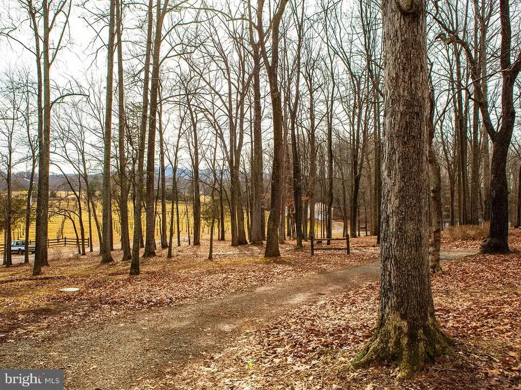 4500 Winery Lane Barboursville VA 22923