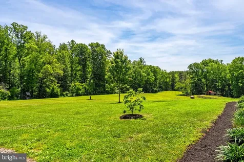 11192 Rixeyville Road Culpeper VA 22701