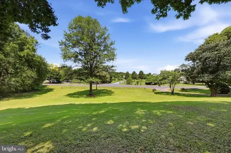 12281 James Madison Highway Culpeper VA 22701