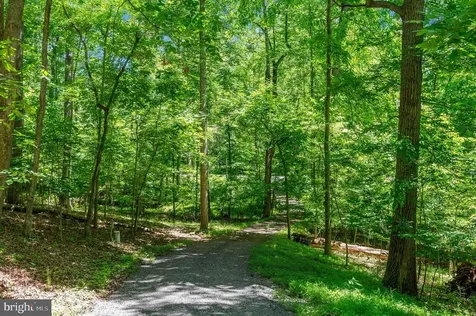 11408 Dutch Hollow Road Culpeper VA 22701