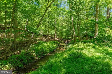 11408 Dutch Hollow Road Culpeper VA 22701