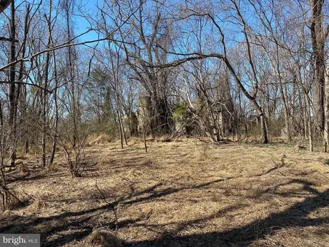 Kirtley Residue Lot Culpeper VA 22701