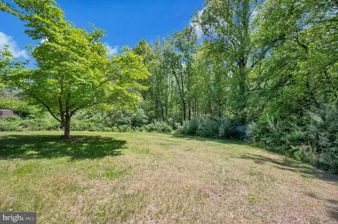 15025 Woodland Church Road Culpeper VA 22701