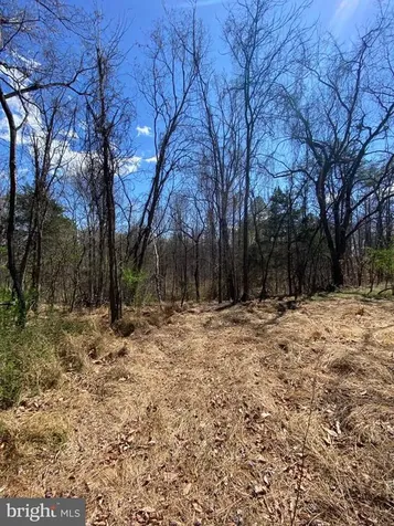 8424 Kilby Road Culpeper VA 22701