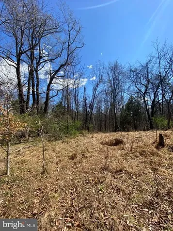 8424 Kilby Road Culpeper VA 22701