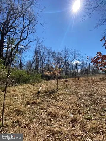 8424 Kilby Road Culpeper VA 22701