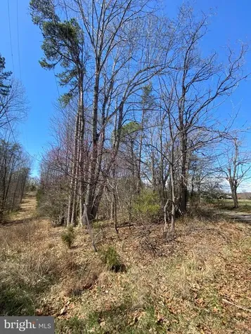 8424 Kilby Road Culpeper VA 22701