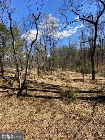 8424 Kilby Road Culpeper VA 22701