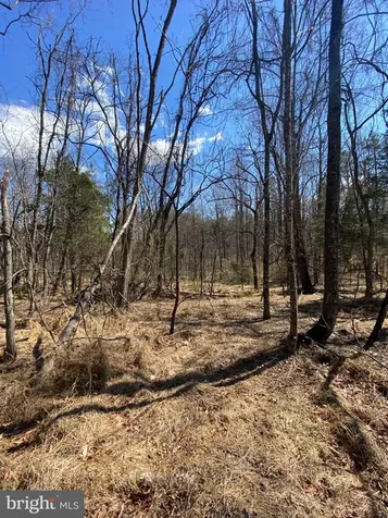 8424 Kilby Road Culpeper VA 22701